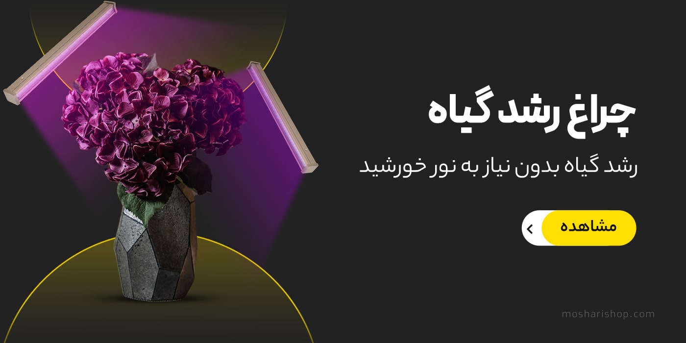 چراغ رشد گیاه