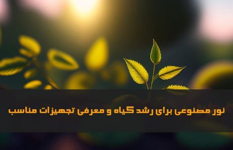 چراغ‌ های رشد گیاه