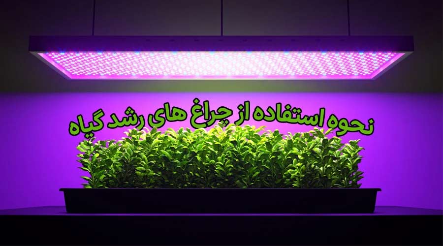  رشد گیاهان بدون نور خورشید